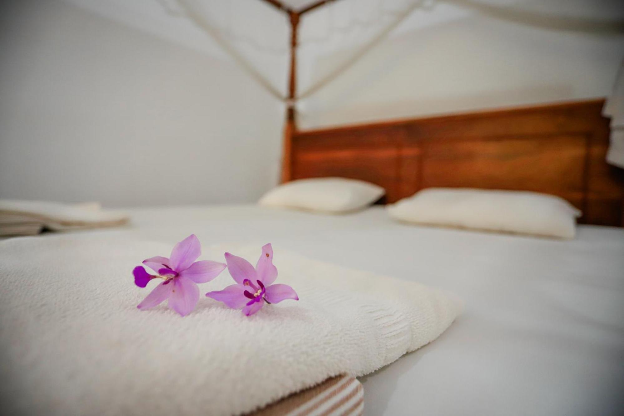 Serene Home Stay Udawalawe Buitenkant foto